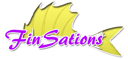 Finsations eStore